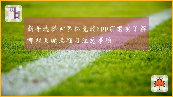 新手选择世界杯竞猜app前需要了解哪些关键流程与注意事项