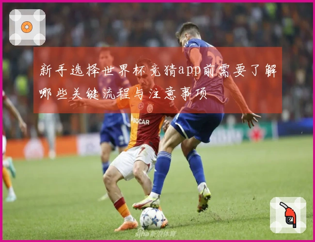 新手选择世界杯竞猜app前需要了解哪些关键流程与注意事项