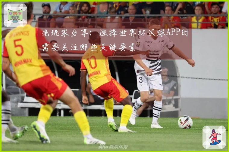 老玩家分享：选择世界杯买球APP时需要关注哪些关键要素